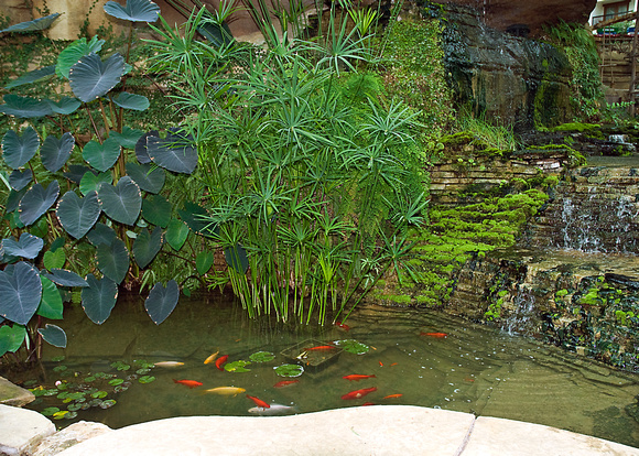 The Gaylord-Texan Indoor fish pond